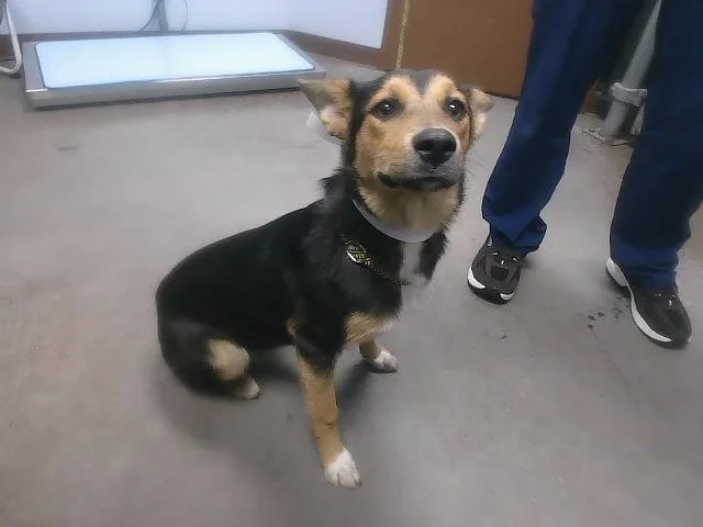 Kiato