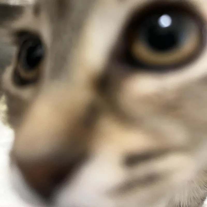 Chaeli thumbnail 2