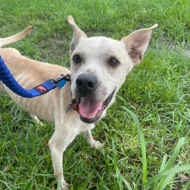 Private Ryan thumbnail 3