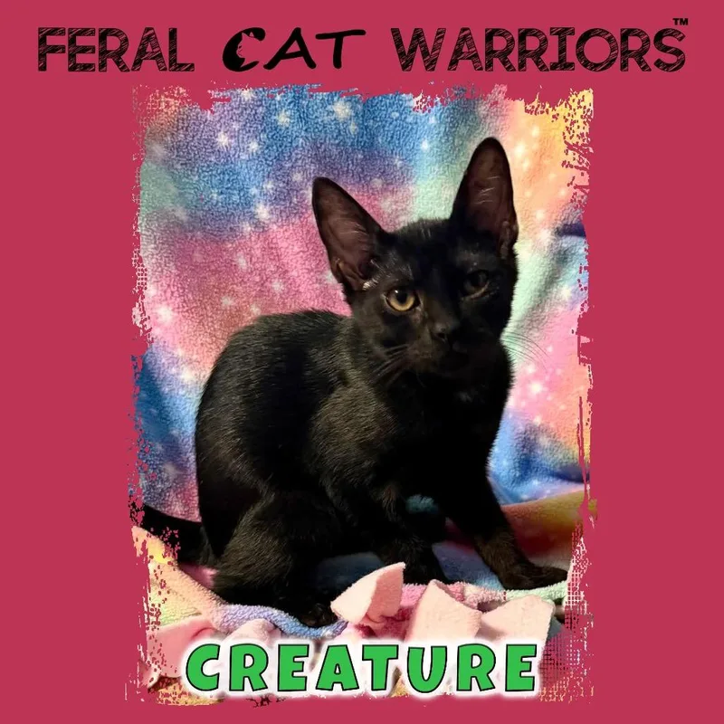 Creature thumbnail 2