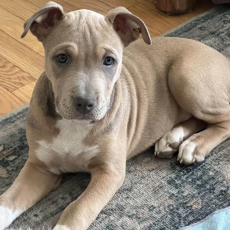 Samantha thumbnail 2