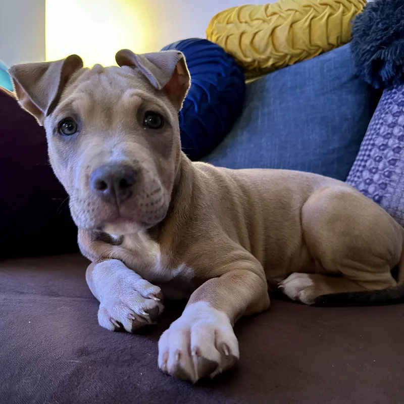 Samantha thumbnail 3