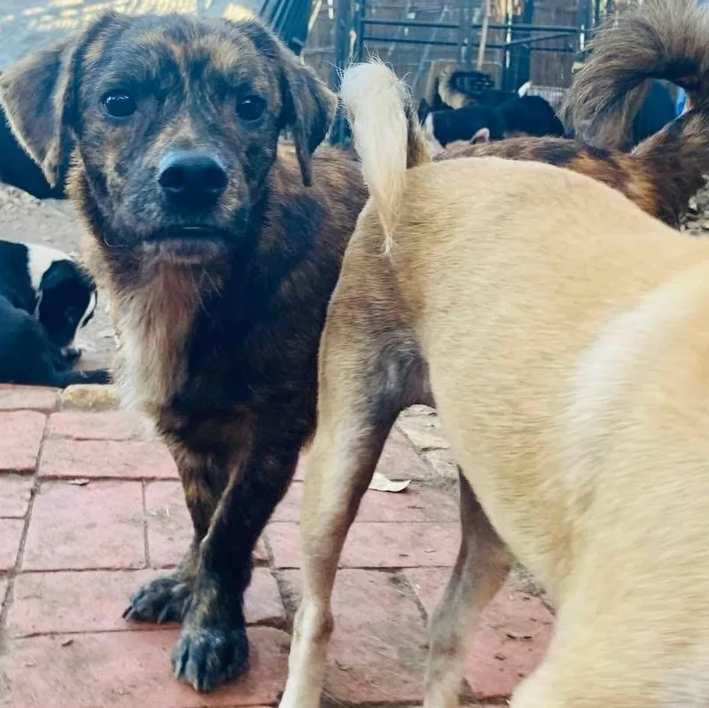 Gerard Pc thumbnail 2