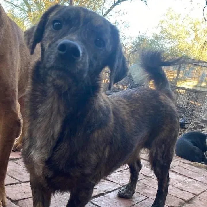 Gerard Pc thumbnail 5