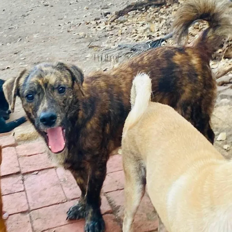 Gerard Pc thumbnail 6