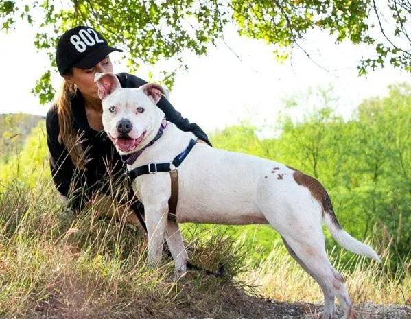 Sapphire thumbnail 2