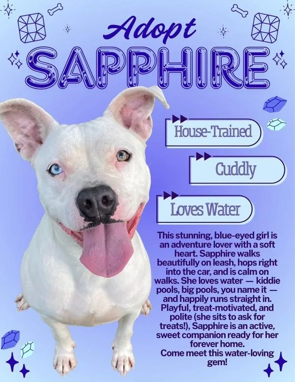 Sapphire thumbnail 3