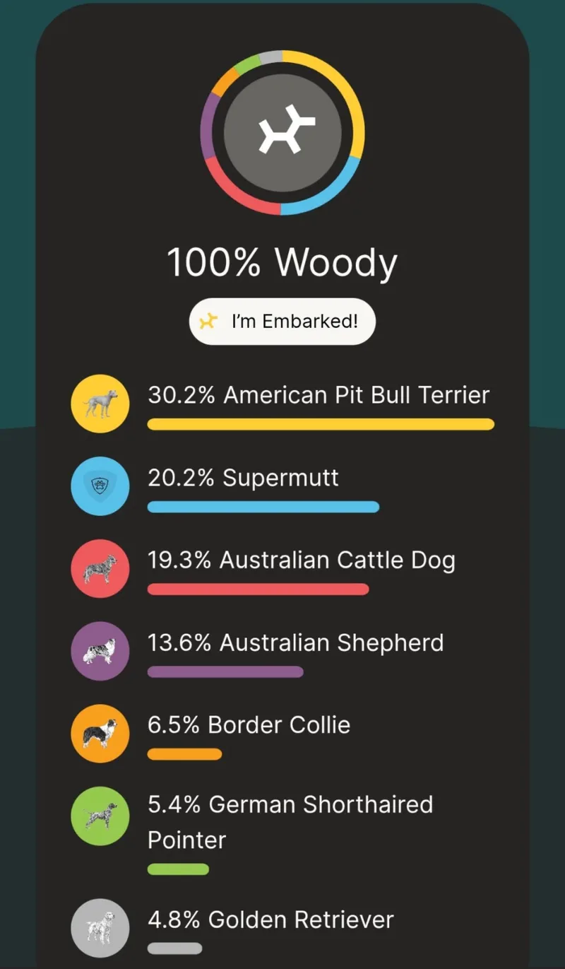Woody thumbnail 6