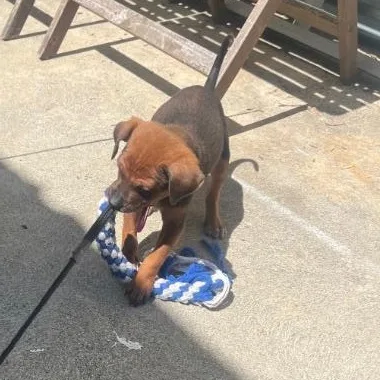 David Bowie thumbnail 3