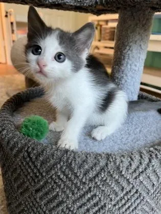 Emily thumbnail 3