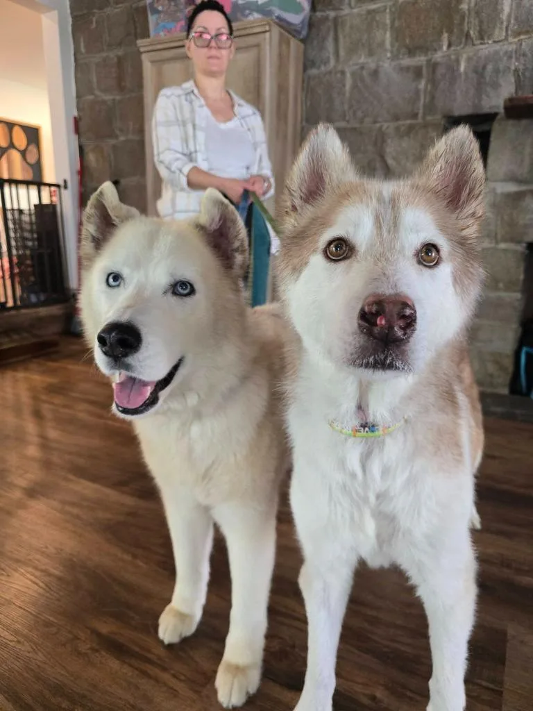 Scar  Ghost thumbnail 2