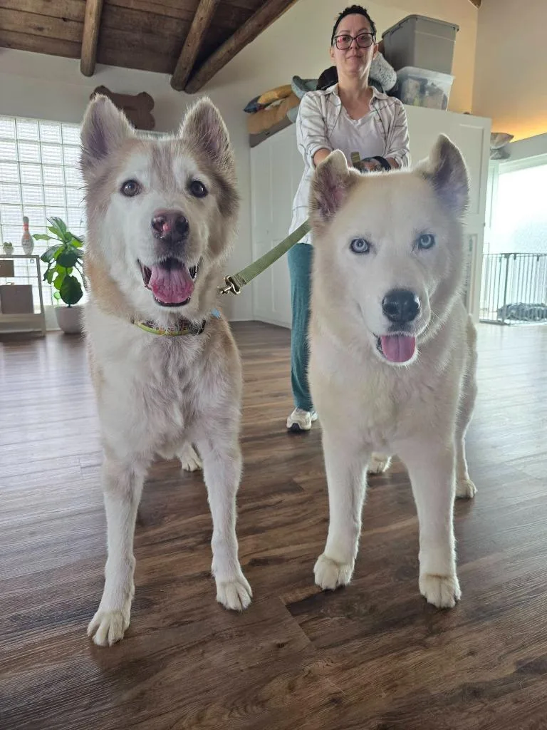 Scar  Ghost thumbnail 3