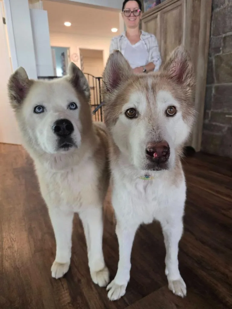 Scar  Ghost thumbnail 4