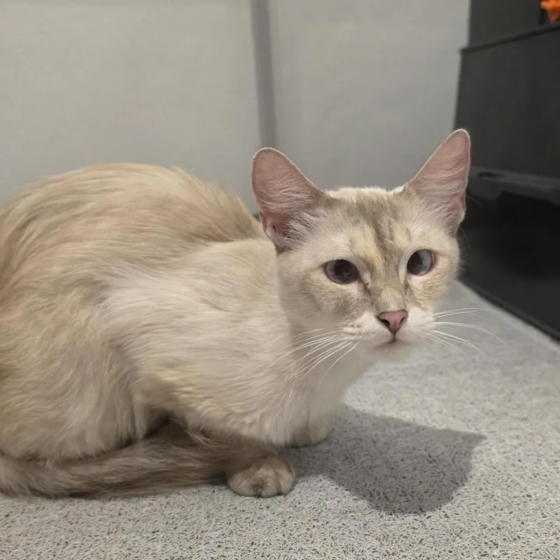Delilah thumbnail 2