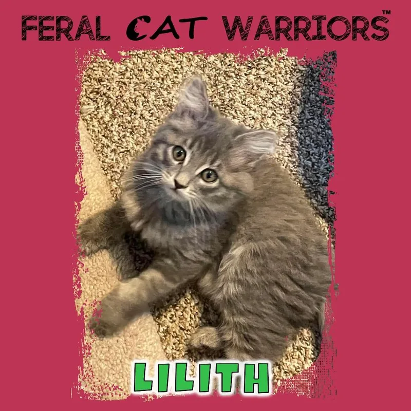 Lilith thumbnail 2