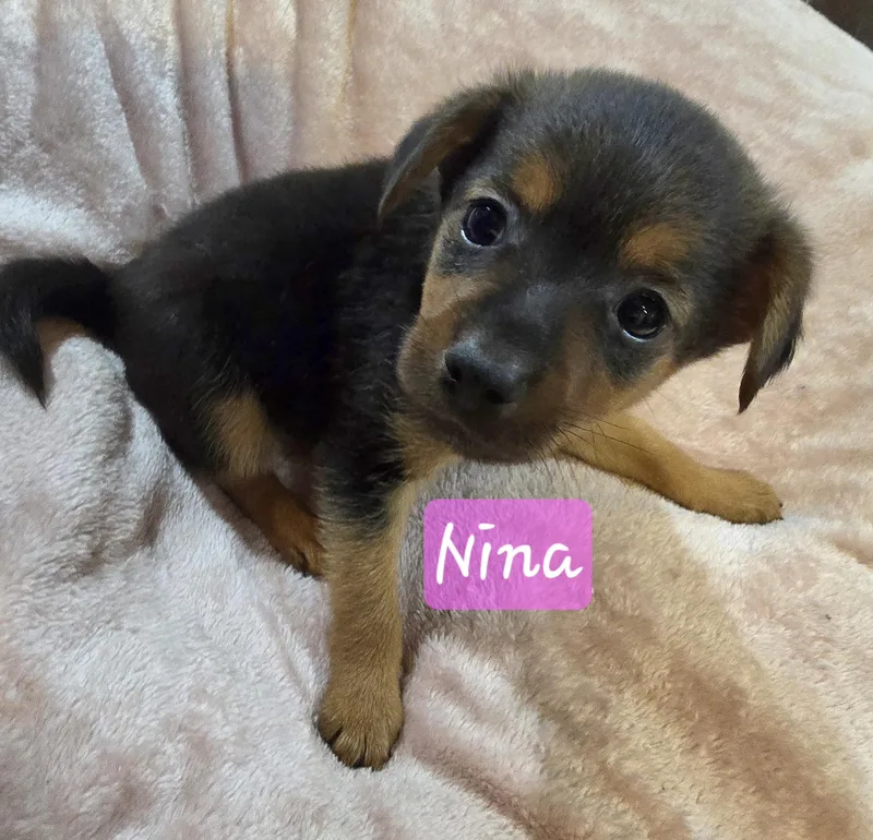 Nina thumbnail 6