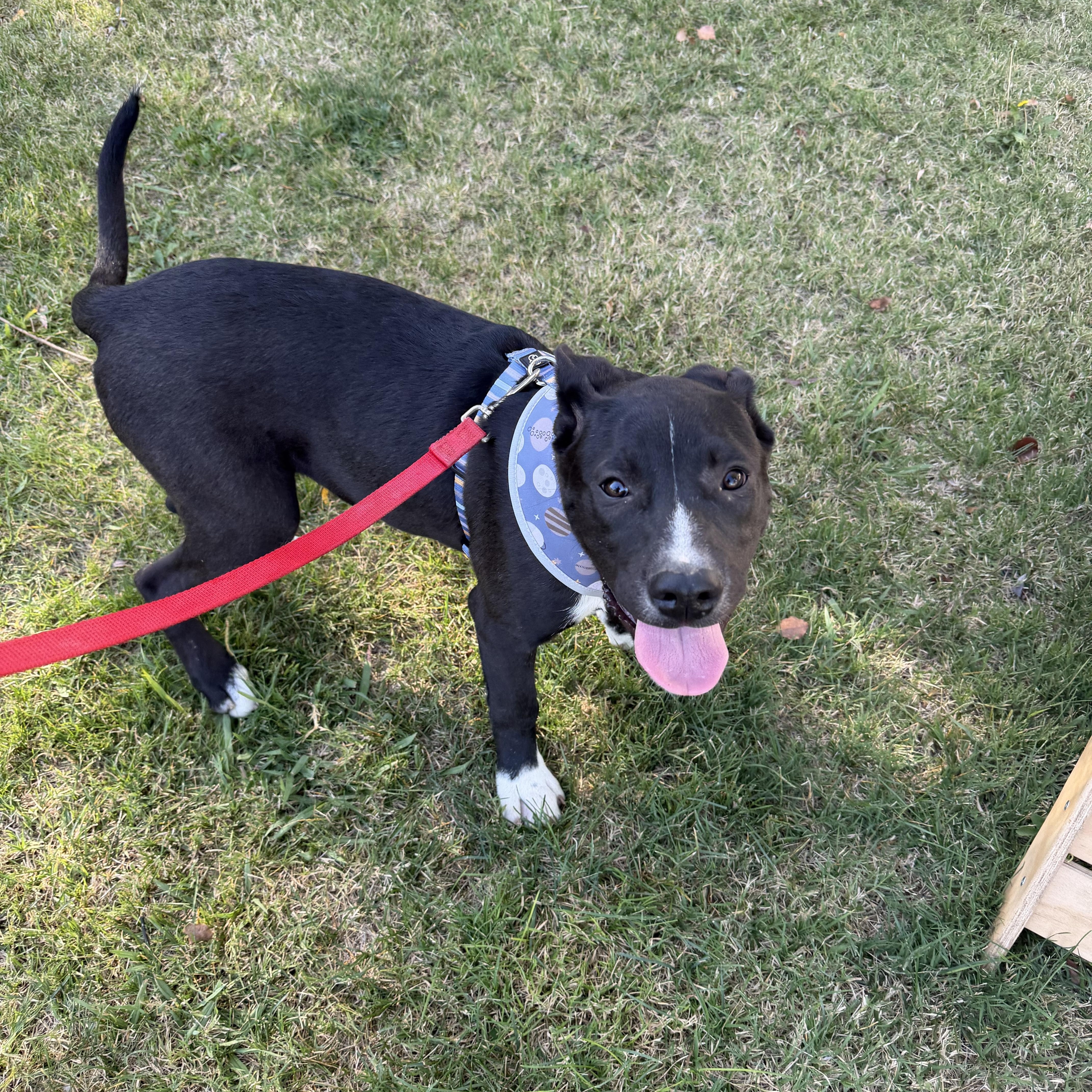 Princess Peach thumbnail 2