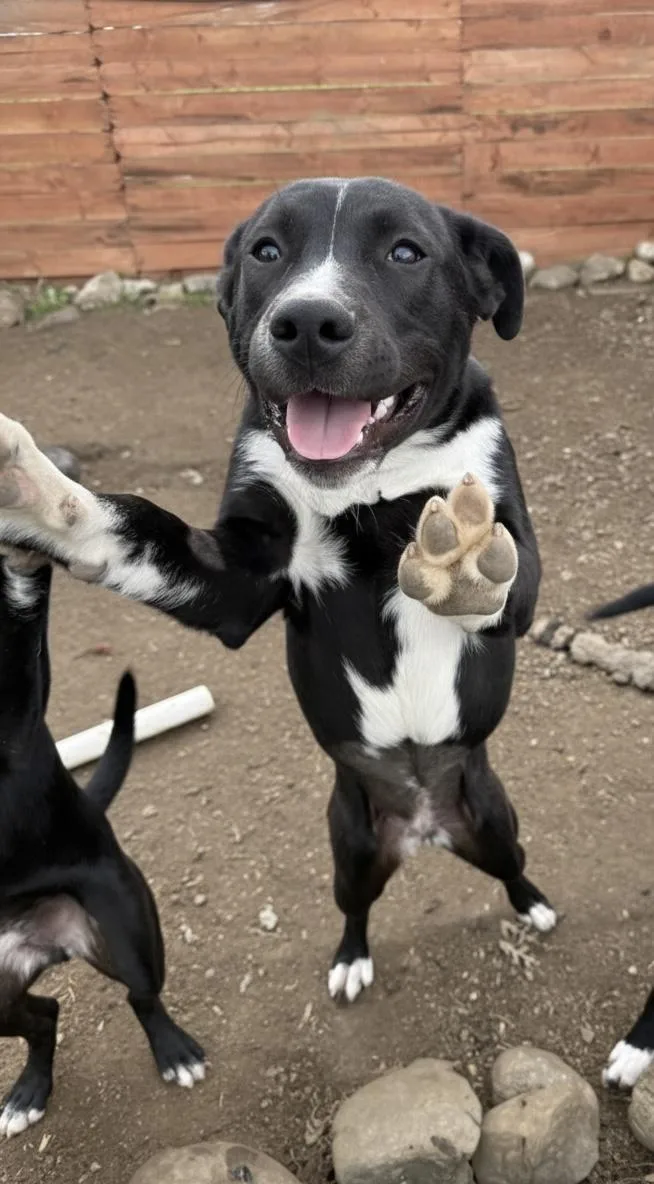 Princess Peach thumbnail 3