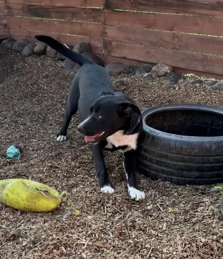 Princess Peach thumbnail 5