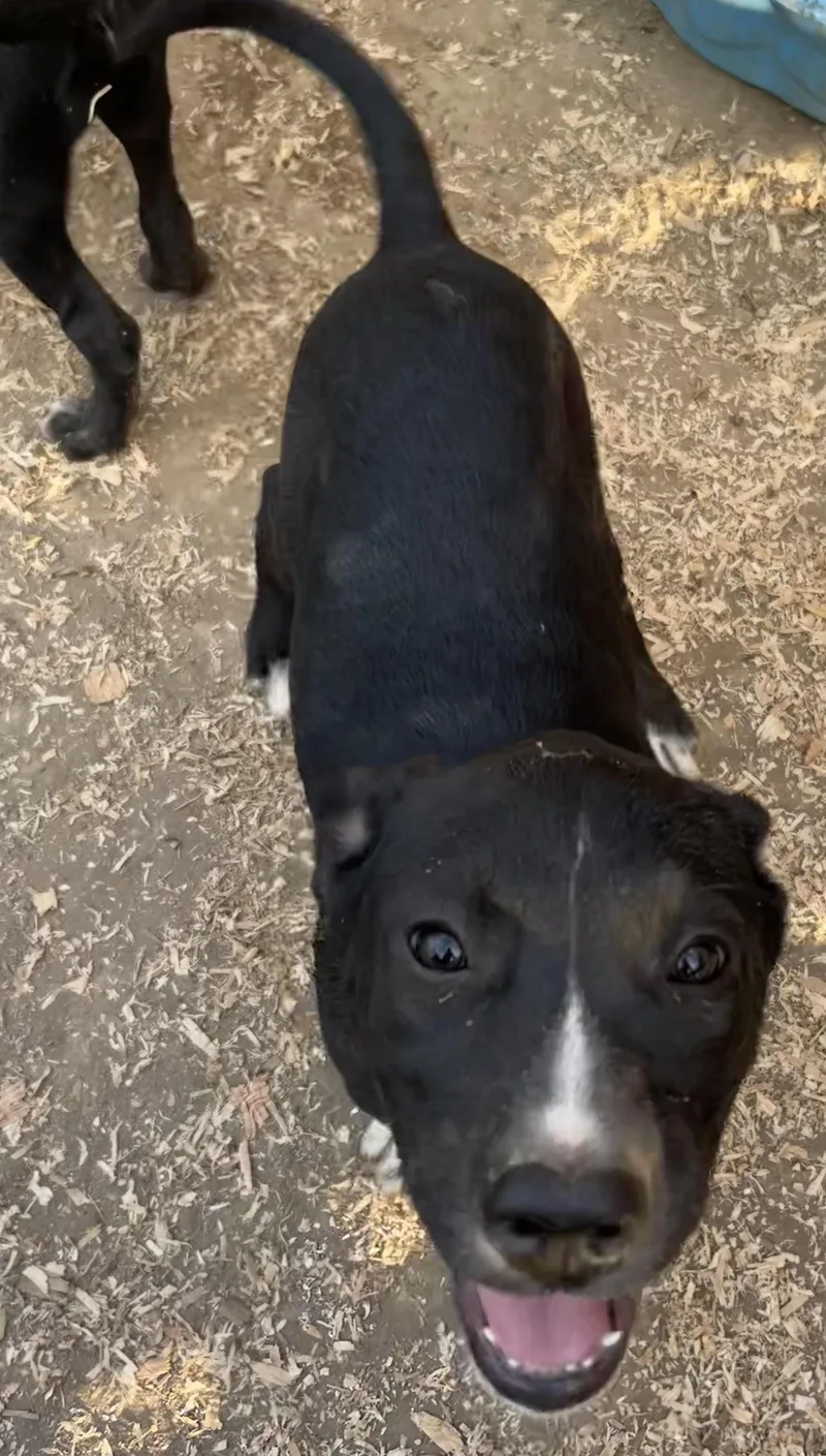 Princess Peach thumbnail 6