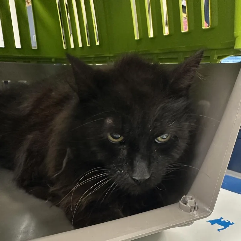 Frederick thumbnail 2