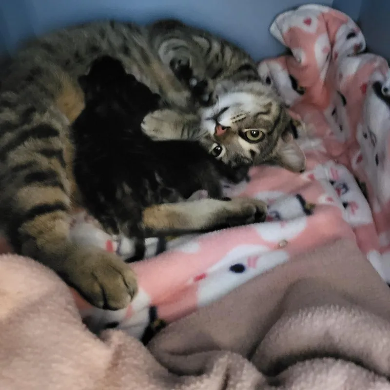 Willa Mae thumbnail 2