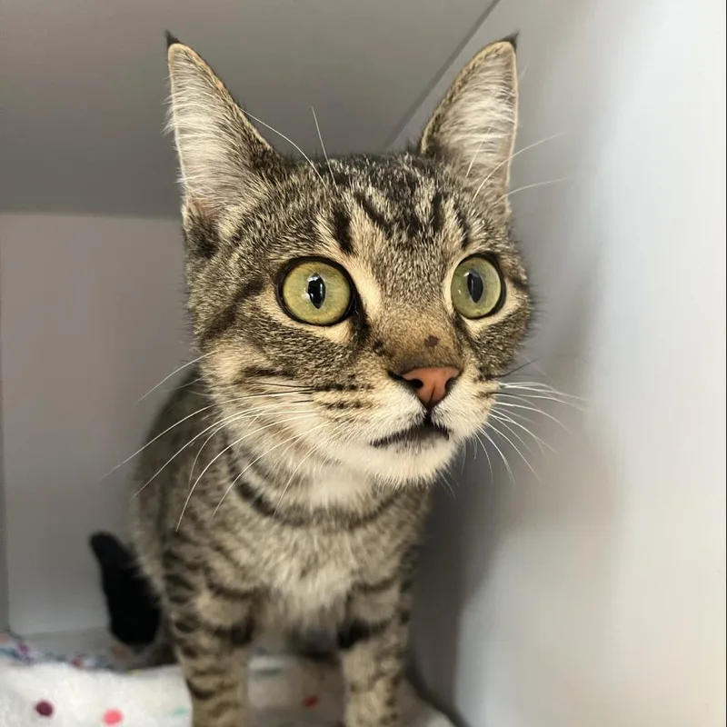 Willa Mae thumbnail 3