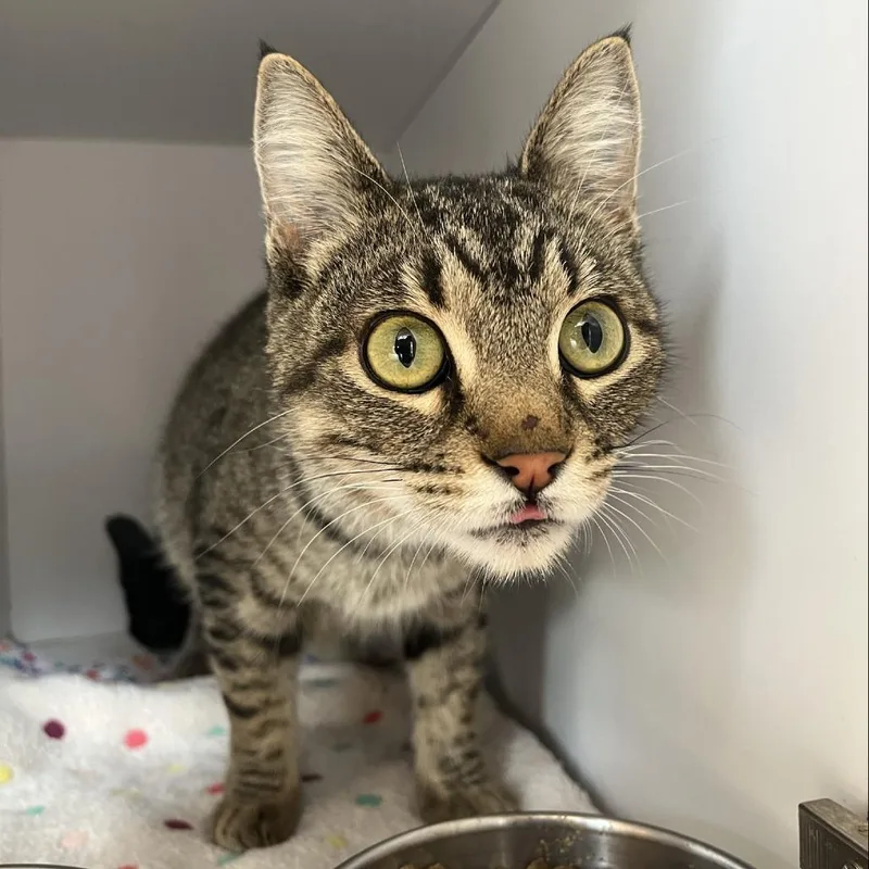 Willa Mae thumbnail 4