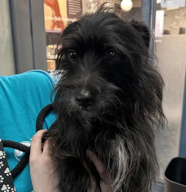 Midnight Sun thumbnail 2