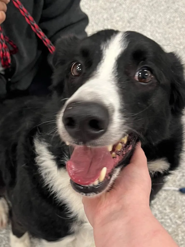 Walker Texas Ranger thumbnail 2