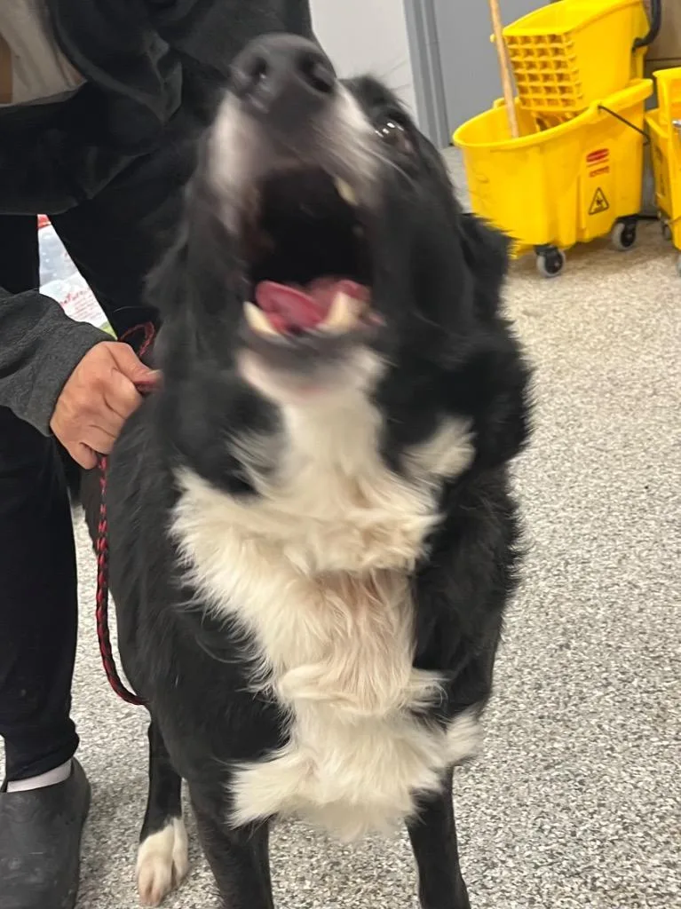 Walker Texas Ranger thumbnail 3