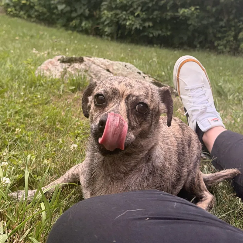 Mama Lucy thumbnail 6