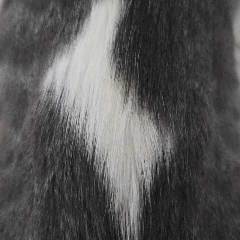 Cleo thumbnail 3