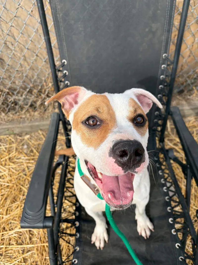 Sticky Buns thumbnail 2