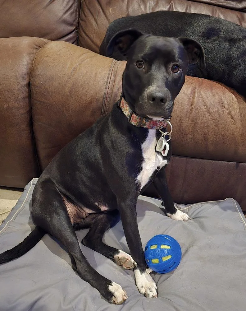 Jurnee Sue 🇨🇦 💜 thumbnail 2