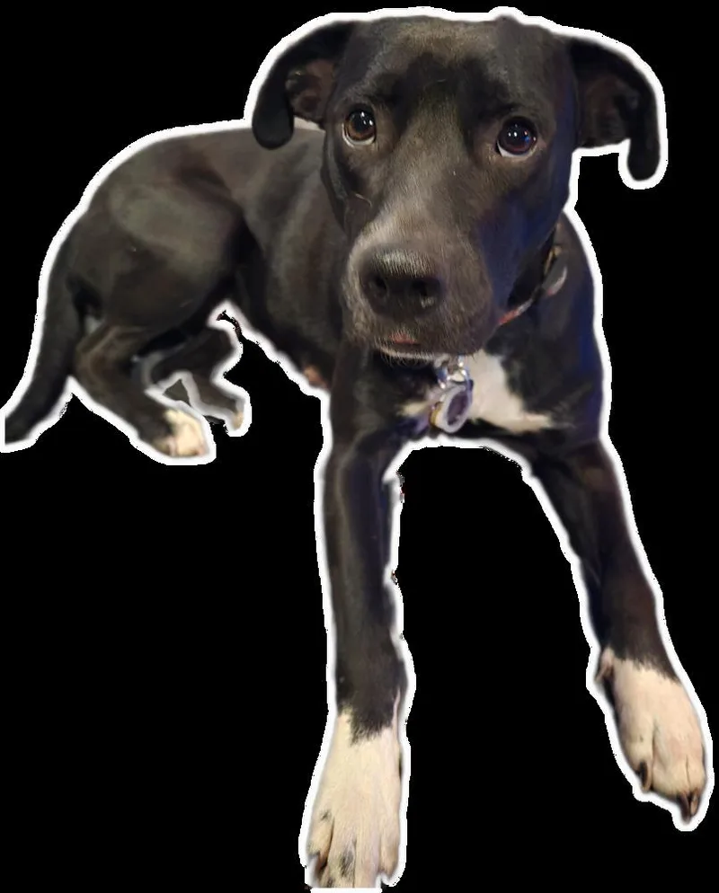 Jurnee Sue 🇨🇦 💜 thumbnail 3