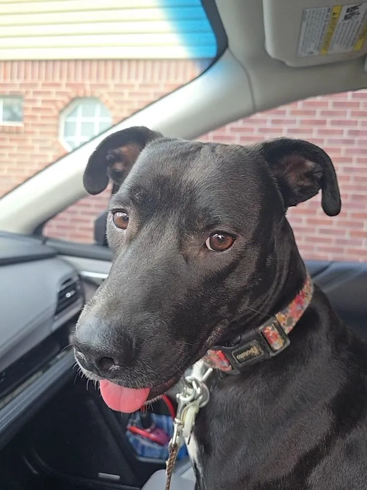 Jurnee Sue 🇨🇦 💜 thumbnail 4