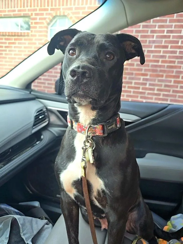 Jurnee Sue 🇨🇦 💜 thumbnail 5