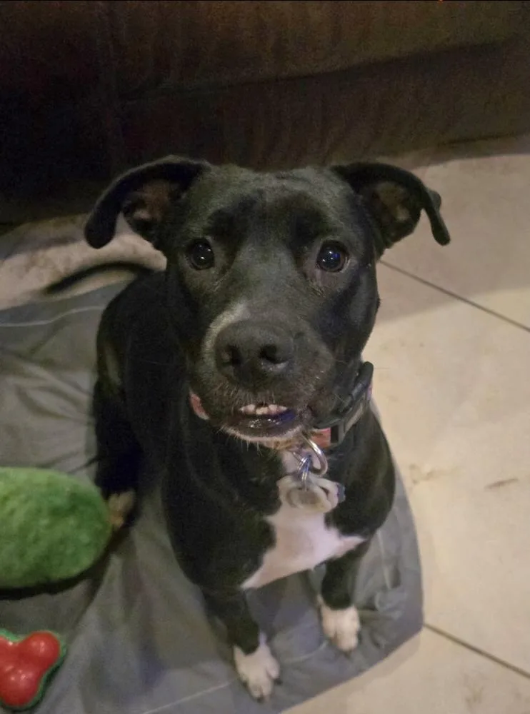 Jurnee Sue 🇨🇦 💜 thumbnail 6