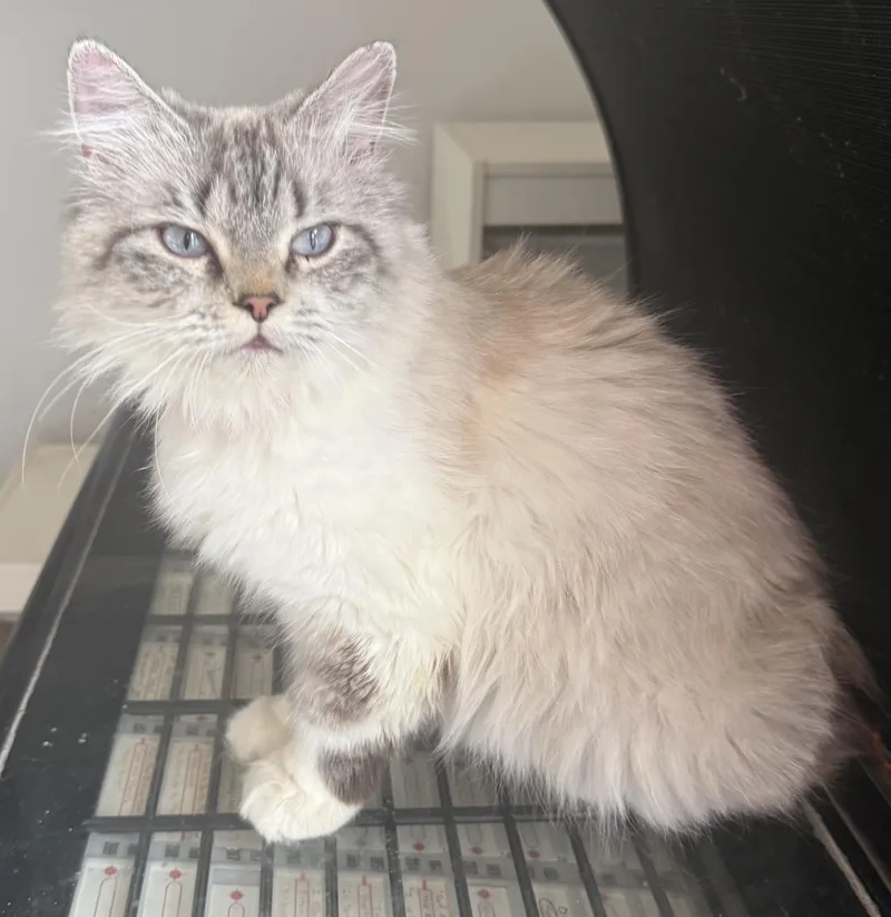 Fabulous Flora  Beauty thumbnail 2