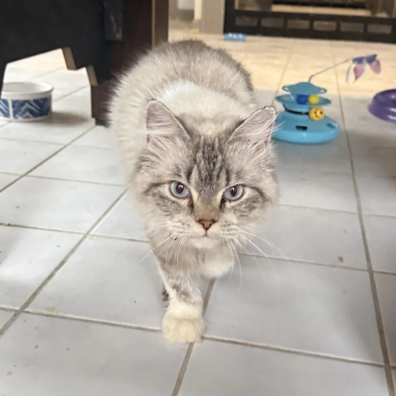 Fabulous Flora  Beauty thumbnail 4