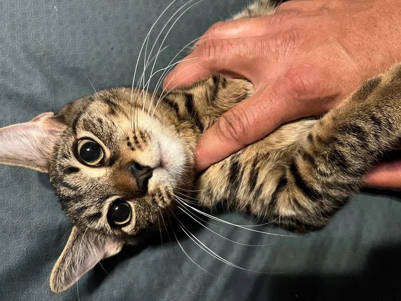 Black Cherry & Jordan thumbnail 4