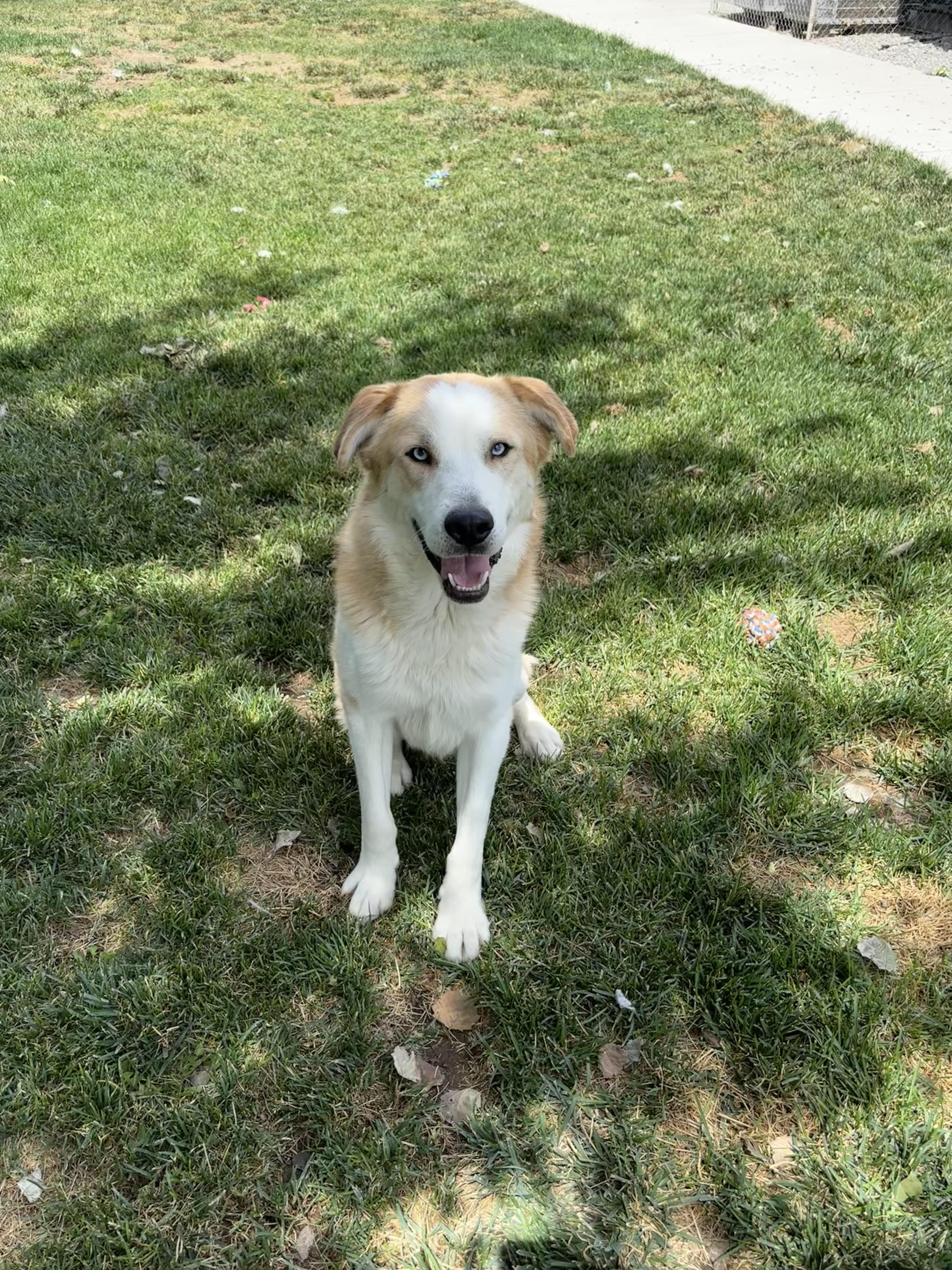 Baxter