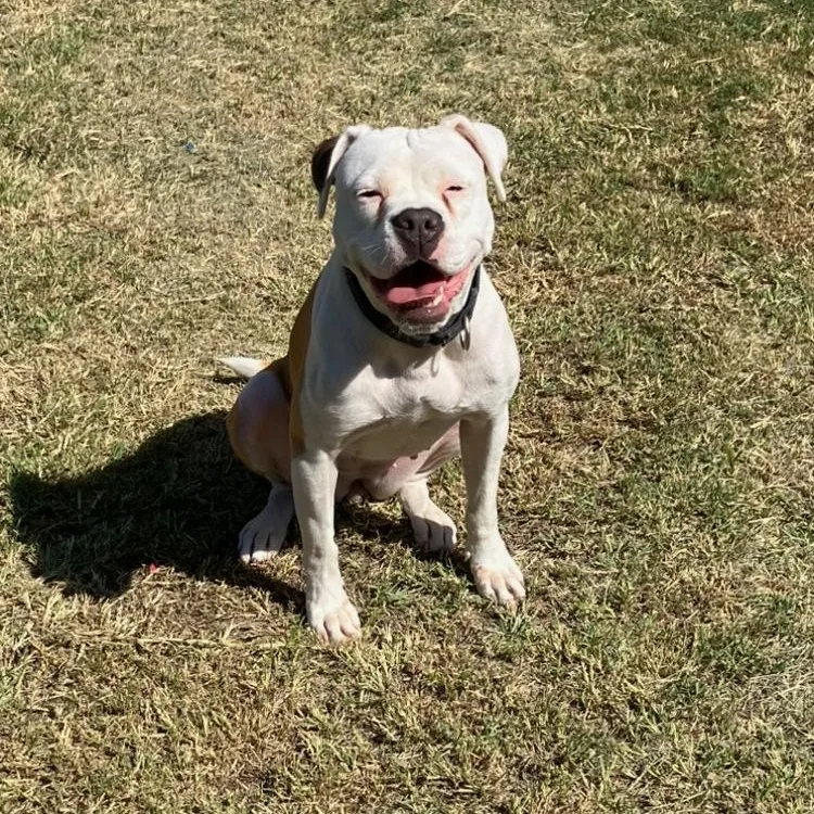 Daisy Mae thumbnail 3