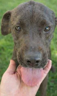 Lucielle "lucy" Lu thumbnail 2