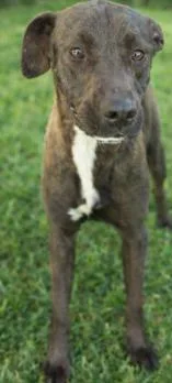 Lucielle "lucy" Lu thumbnail 3