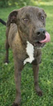 Lucielle "lucy" Lu thumbnail 4