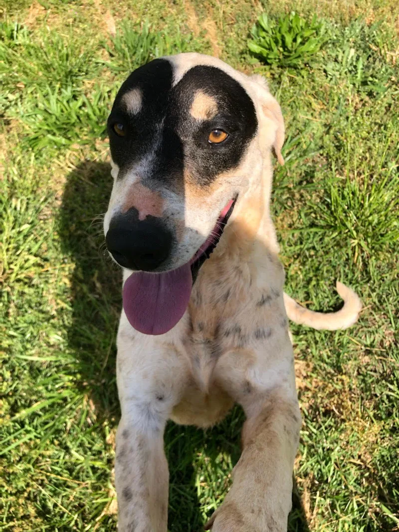 Marshall thumbnail 2