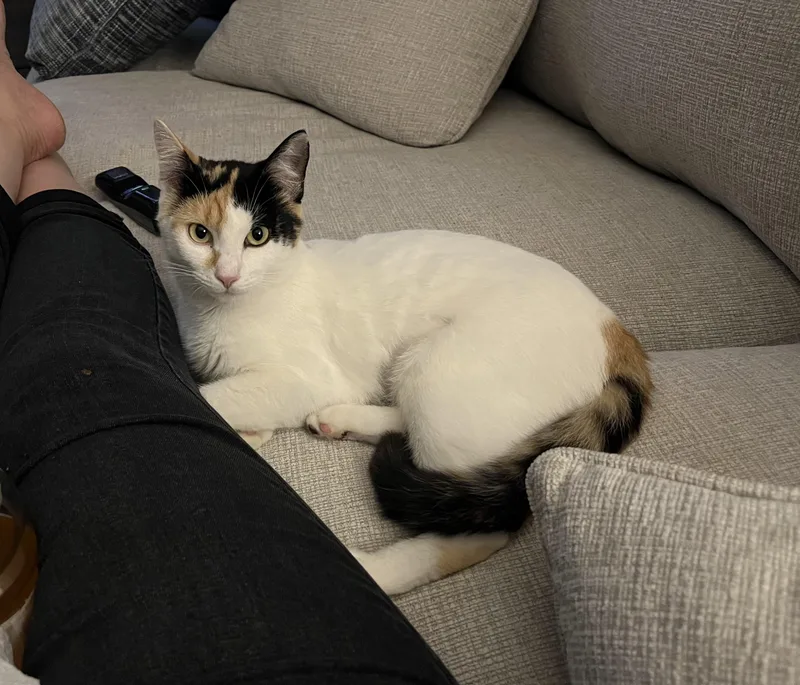 Mama Rosie thumbnail 2