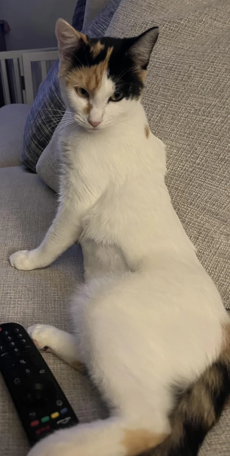 Mama Rosie thumbnail 4